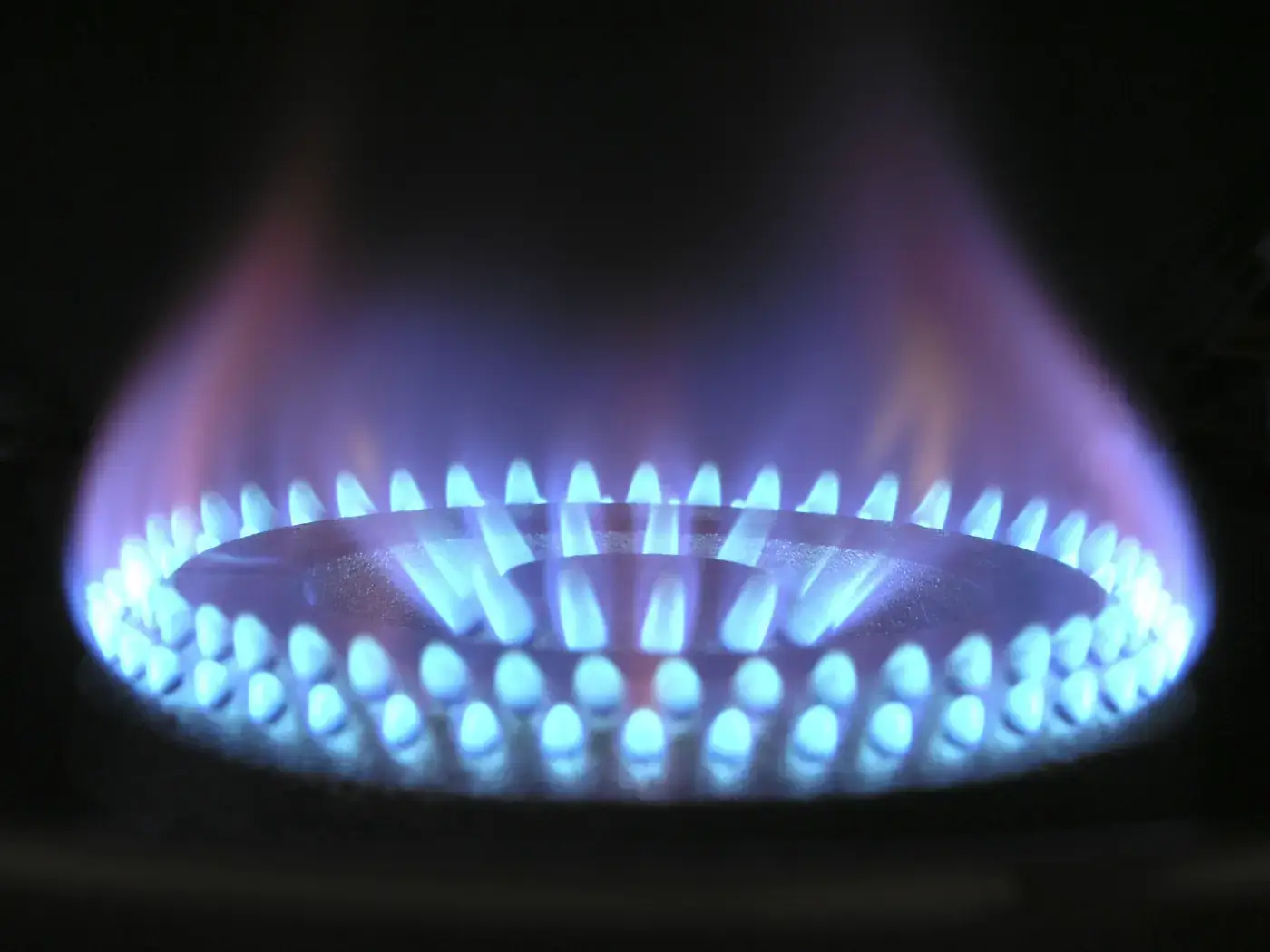 Ring of blue gas burner flames against a dark background